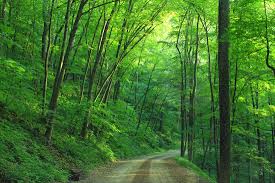 naturaleza
