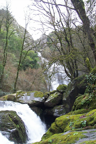 Ruta Botánica