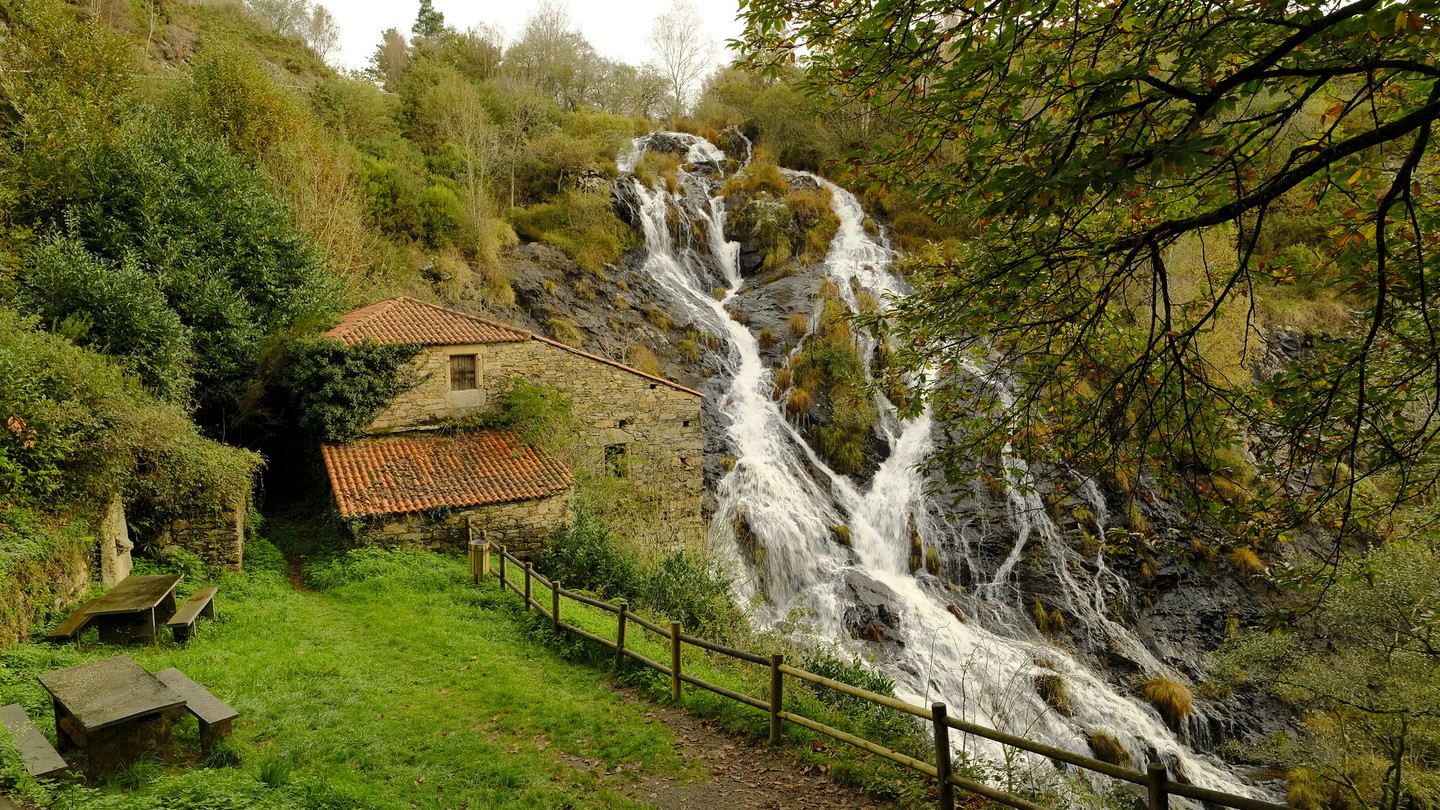 Ruta Botánica