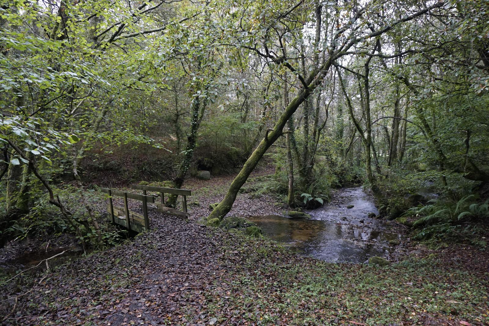 Ruta Botánica